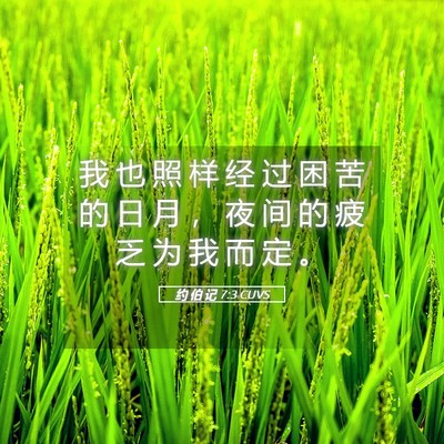 Picture 05 - 约 伯 记 7:3 CUVS - 我 也 照 样 经 过 困 苦 的 日 月 ， - Bible Verse Picture