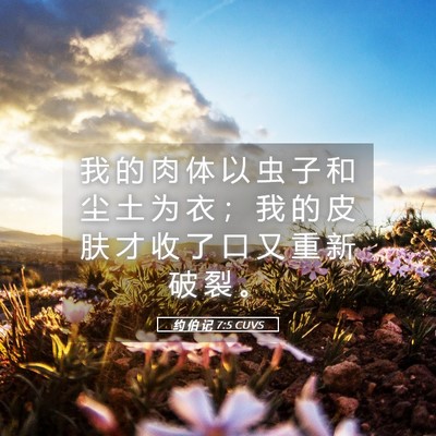 Picture 05 - 约 伯 记 7:5 CUVS - 我 的 肉 体 以 虫 子 和 尘 土 为 衣 - Bible Verse Picture