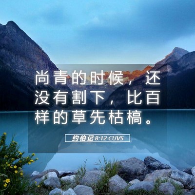 Picture 05 - 约 伯 记 8:12 CUVS - 尚 青 的 时 候 ， 还 没 有 割 下 ， - Bible Verse Picture