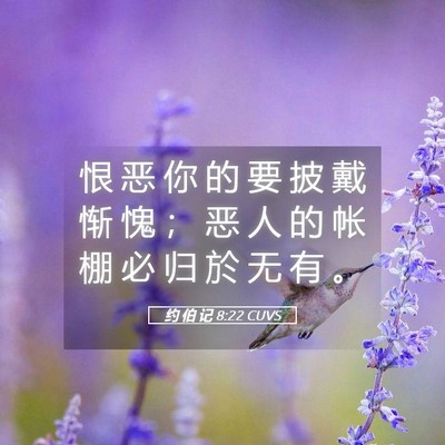 Picture 05 - 约 伯 记 8:22 CUVS - 恨 恶 你 的 要 披 戴 惭 愧 ； 恶 人 - Bible Verse Picture
