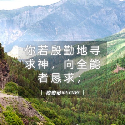 Picture 05 - 约 伯 记 8:5 CUVS - 你 若 殷 勤 地 寻 求 神 ， 向 全 能 - Bible Verse Picture