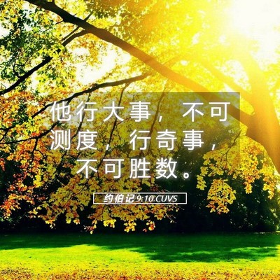 Picture 05 - 约 伯 记 9:10 CUVS - 他 行 大 事 ， 不 可 测 度 ， 行 奇 - Bible Verse Picture