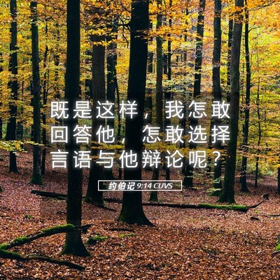 Picture 05 - 约 伯 记 9:14 CUVS - 既 是 这 样 ， 我 怎 敢 回 答 他 ， - Bible Verse Picture