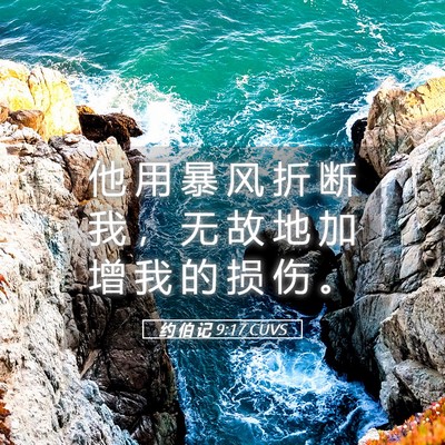 Picture 05 - 约 伯 记 9:17 CUVS - 他 用 暴 风 折 断 我 ， 无 故 地 加 - Bible Verse Picture