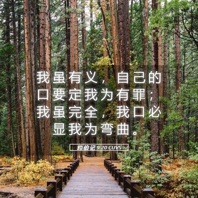 Picture 05 - 约 伯 记 9:20 CUVS - 我 虽 有 义 ， 自 己 的 口 要 定 我 - Bible Verse Picture
