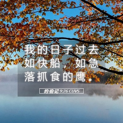 Picture 05 - 约 伯 记 9:26 CUVS - 我 的 日 子 过 去 如 快 船 ， 如 急 - Bible Verse Picture