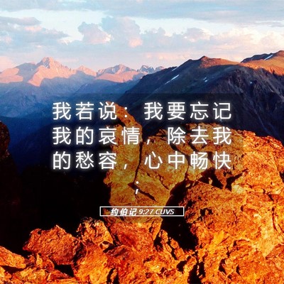 Picture 05 - 约 伯 记 9:27 CUVS - 我 若 说 ： 我 要 忘 记 我 的 哀 情 - Bible Verse Picture