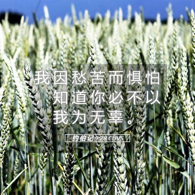 Picture 05 - 约 伯 记 9:28 CUVS - 我 因 愁 苦 而 惧 怕 ， 知 道 你 必 - Bible Verse Picture