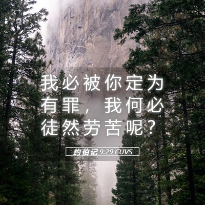 Picture 05 - 约 伯 记 9:29 CUVS - 我 必 被 你 定 为 有 罪 ， 我 何 必 - Bible Verse Picture