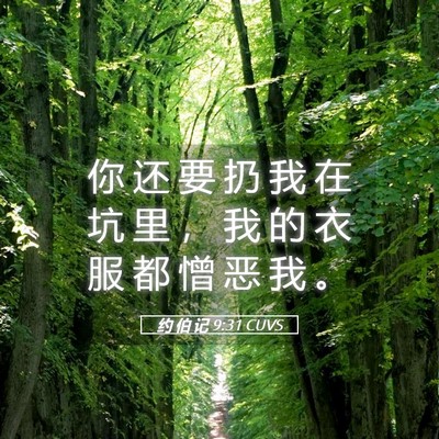 Picture 05 - 约 伯 记 9:31 CUVS - 你 还 要 扔 我 在 坑 里 ， 我 的 衣 - Bible Verse Picture