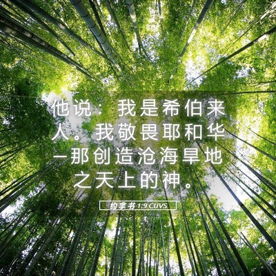 Picture 05 - 约 拿 书 1:9 CUVS - 他 说 ： 我 是 希 伯 来 人 。 我 敬 - Bible Verse Picture