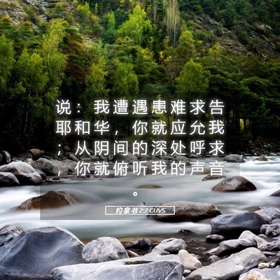 Picture 05 - 约 拿 书 2:2 CUVS - 说 ： 我 遭 遇 患 难 求 告 耶 和 华 - Bible Verse Picture