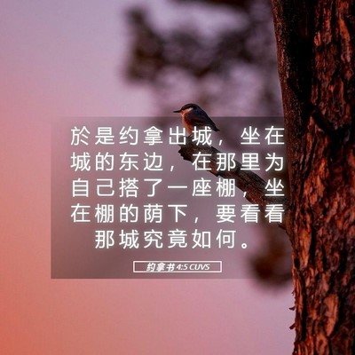 Picture 05 - 约 拿 书 4:5 CUVS - 於 是 约 拿 出 城 ， 坐 在 城 的 东 - Bible Verse Picture