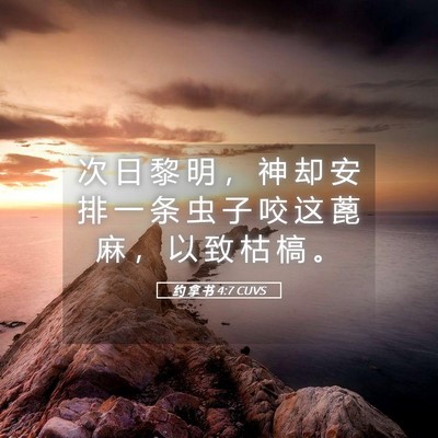Picture 05 - 约 拿 书 4:7 CUVS - 次 日 黎 明 ， 神 却 安 排 一 条 虫 - Bible Verse Picture