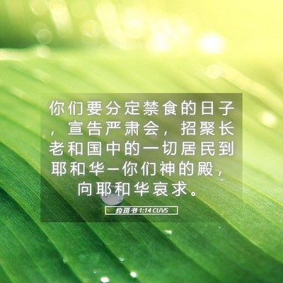 Picture 05 - 约 珥 书 1:14 CUVS - 你 们 要 分 定 禁 食 的 日 子 ， 宣 - Bible Verse Picture