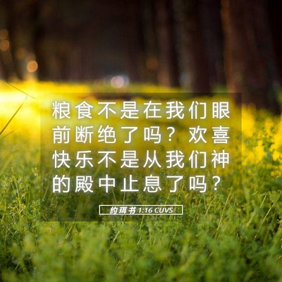 Picture 05 - 约 珥 书 1:16 CUVS - 粮 食 不 是 在 我 们 眼 前 断 绝 了 - Bible Verse Picture