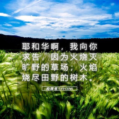 Picture 05 - 约 珥 书 1:19 CUVS - 耶 和 华 啊 ， 我 向 你 求 告 ， 因 - Bible Verse Picture