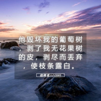 Picture 05 - 约 珥 书 1:7 CUVS - 他 毁 坏 我 的 葡 萄 树 ， 剥 了 我 - Bible Verse Picture