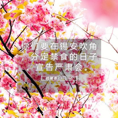 Picture 05 - 约 珥 书 2:15 CUVS - 你 们 要 在 锡 安 吹 角 ， 分 定 禁 - Bible Verse Picture