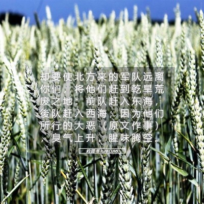 Picture 05 - 约 珥 书 2:20 CUVS - 却 要 使 北 方 来 的 军 队 远 离 你 - Bible Verse Picture