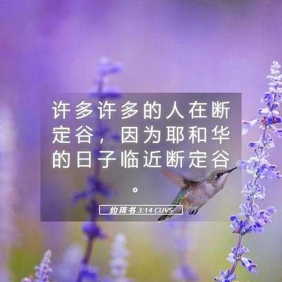 Picture 05 - 约 珥 书 3:14 CUVS - 许 多 许 多 的 人 在 断 定 谷 ， 因 - Bible Verse Picture