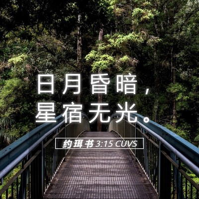 Picture 05 - 约 珥 书 3:15 CUVS - 日 月 昏 暗 ， 星 宿 无 光 - Bible Verse Picture