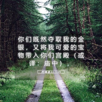 Picture 05 - 约 珥 书 3:5 CUVS - 你 们 既 然 夺 取 我 的 金 银 ， 又 - Bible Verse Picture