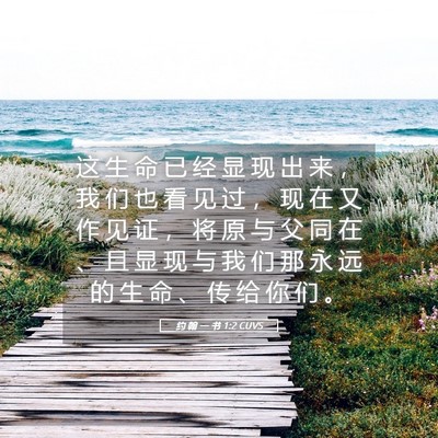 Picture 05 - 约 翰 一 书 1:2 CUVS - 这 生 命 已 经 显 现 出 来 ， 我 们 - Bible Verse Picture