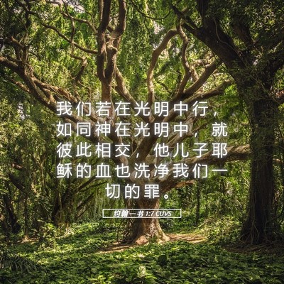 Picture 05 - 约 翰 一 书 1:7 CUVS - 我 们 若 在 光 明 中 行 ， 如 同 神 - Bible Verse Picture