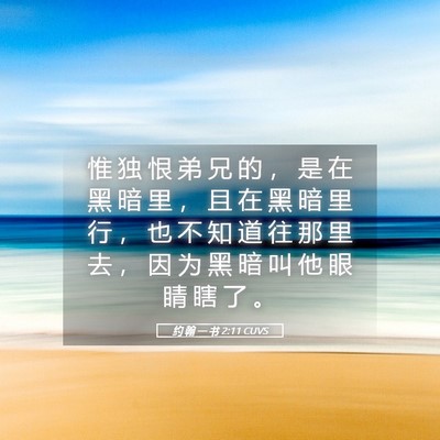 Picture 05 - 约 翰 一 书 2:11 CUVS - 惟 独 恨 弟 兄 的 ， 是 在 黑 暗 里 - Bible Verse Picture
