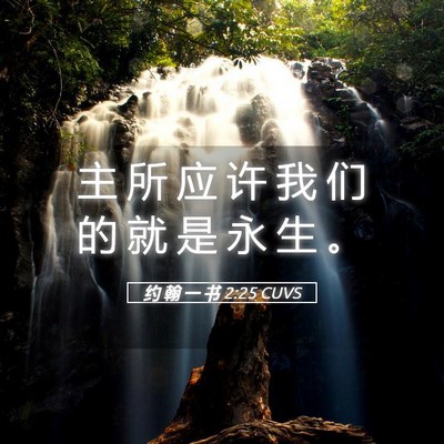 Picture 05 - 约 翰 一 书 2:25 CUVS - 主 所 应 许 我 们 的 就 是 永 生 - Bible Verse Picture