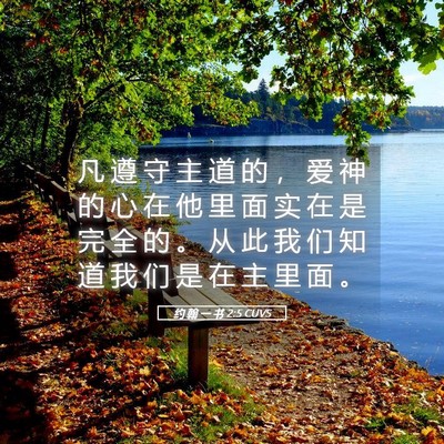 Picture 05 - 约 翰 一 书 2:5 CUVS - 凡 遵 守 主 道 的 ， 爱 神 的 心 在 - Bible Verse Picture