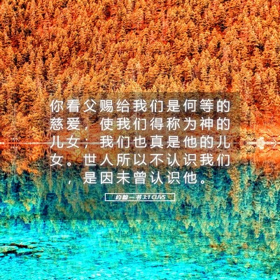 Picture 05 - 约 翰 一 书 3:1 CUVS - 你 看 父 赐 给 我 们 是 何 等 的 慈 - Bible Verse Picture