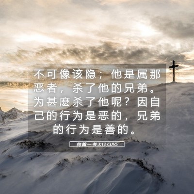 Picture 05 - 约 翰 一 书 3:12 CUVS - 不 可 像 该 隐 ； 他 是 属 那 恶 者 - Bible Verse Picture