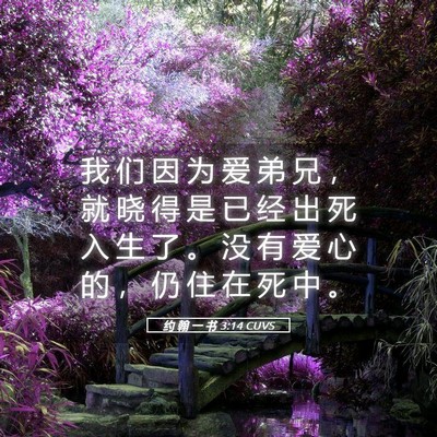 Picture 05 - 约 翰 一 书 3:14 CUVS - 我 们 因 为 爱 弟 兄 ， 就 晓 得 是 - Bible Verse Picture