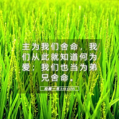 Picture 05 - 约 翰 一 书 3:16 CUVS - 主 为 我 们 舍 命 ， 我 们 从 此 就 - Bible Verse Picture