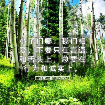 Picture 05 - 约 翰 一 书 3:18 CUVS - 小 子 们 哪 ， 我 们 相 爱 ， 不 要 - Bible Verse Picture