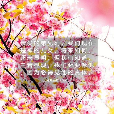 Picture 05 - 约 翰 一 书 3:2 CUVS - 亲 爱 的 弟 兄 阿 ， 我 们 现 在 是 - Bible Verse Picture