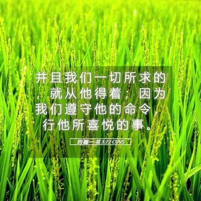 Picture 05 - 约 翰 一 书 3:22 CUVS - 并 且 我 们 一 切 所 求 的 ， 就 从 - Bible Verse Picture