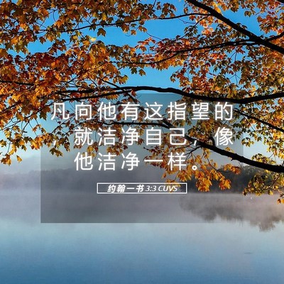 Picture 05 - 约 翰 一 书 3:3 CUVS - 凡 向 他 有 这 指 望 的 ， 就 洁 净 - Bible Verse Picture