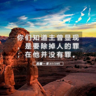 Picture 05 - 约 翰 一 书 3:5 CUVS - 你 们 知 道 主 曾 显 现 ， 是 要 除 - Bible Verse Picture