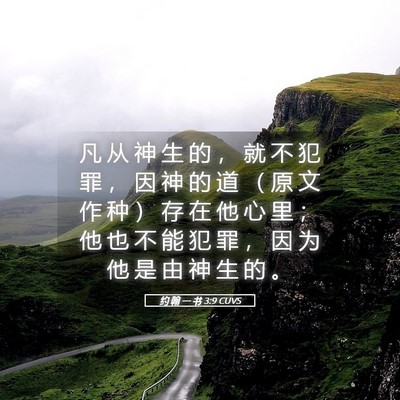 Picture 05 - 约 翰 一 书 3:9 CUVS - 凡 从 神 生 的 ， 就 不 犯 罪 ， 因 - Bible Verse Picture