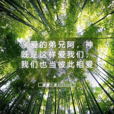 Picture 05 - 约 翰 一 书 4:11 CUVS - 亲 爱 的 弟 兄 阿 ， 神 既 是 这 样 - Bible Verse Picture