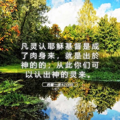 Picture 05 - 约 翰 一 书 4:2 CUVS - 凡 灵 认 耶 稣 基 督 是 成 了 肉 身 - Bible Verse Picture
