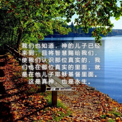 Picture 05 - 约 翰 一 书 5:20 CUVS - 我 们 也 知 道 ， 神 的 儿 子 已 经 - Bible Verse Picture