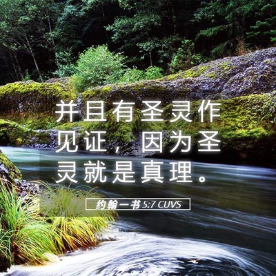 Picture 05 - 约 翰 一 书 5:7 CUVS - 并 且 有 圣 灵 作 见 证 ， 因 为 圣 - Bible Verse Picture