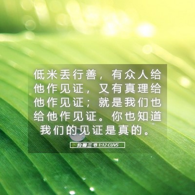 Picture 05 - 约 翰 三 书 1:12 CUVS - 低 米 丢 行 善 ， 有 众 人 给 他 作 - Bible Verse Picture