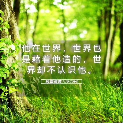 Picture 05 - 约 翰 福 音 1:10 CUVS - 他 在 世 界 ， 世 界 也 是 藉 着 他 - Bible Verse Picture