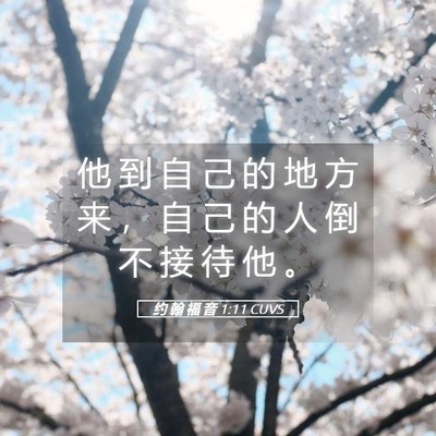 Picture 05 - 约 翰 福 音 1:11 CUVS - 他 到 自 己 的 地 方 来 ， 自 己 的 - Bible Verse Picture