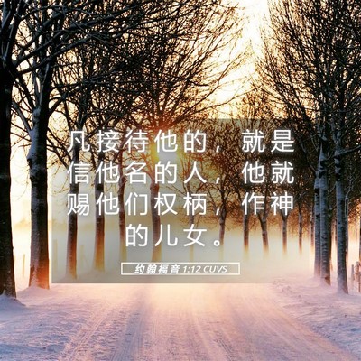 Picture 05 - 约 翰 福 音 1:12 CUVS - 凡 接 待 他 的 ， 就 是 信 他 名 的 - Bible Verse Picture